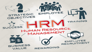 Advanced Human Resource Management Development Program