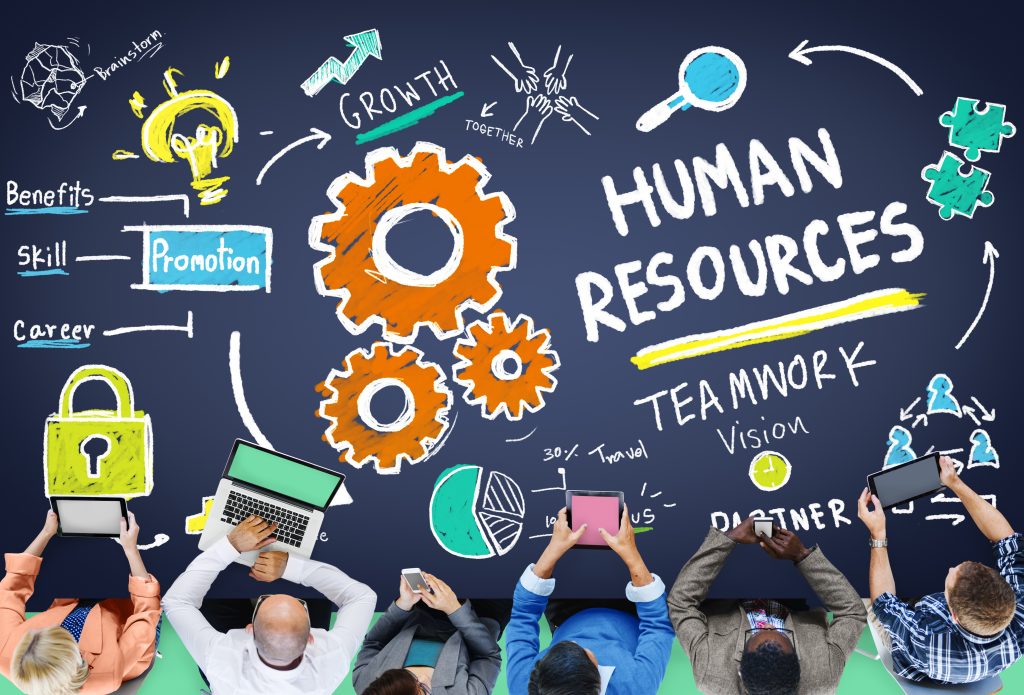 Human Resources Management - CV Diorama Success