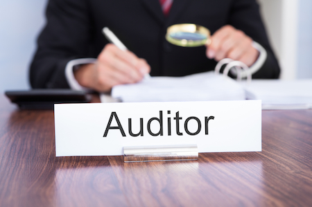 TRAINING BASIC AUDIT TECHNIQUES & TOOLS FOR THE NEW AUDITORS