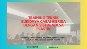 PELATIHAN TEKNIK BUDIDAYA CABAI HIBRIDA SURABAYA