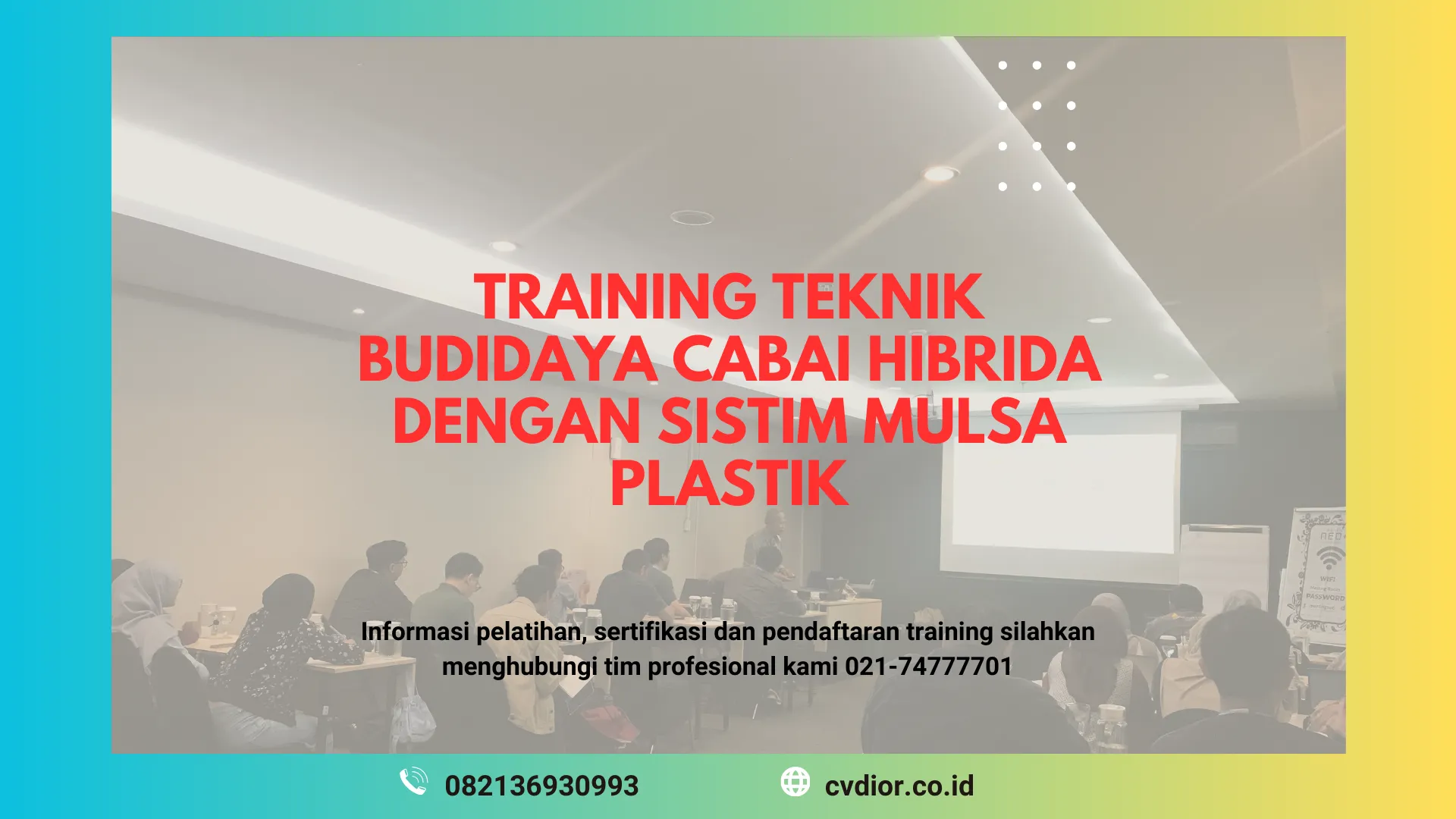 PELATIHAN TEKNIK BUDIDAYA CABAI HIBRIDA SURABAYA